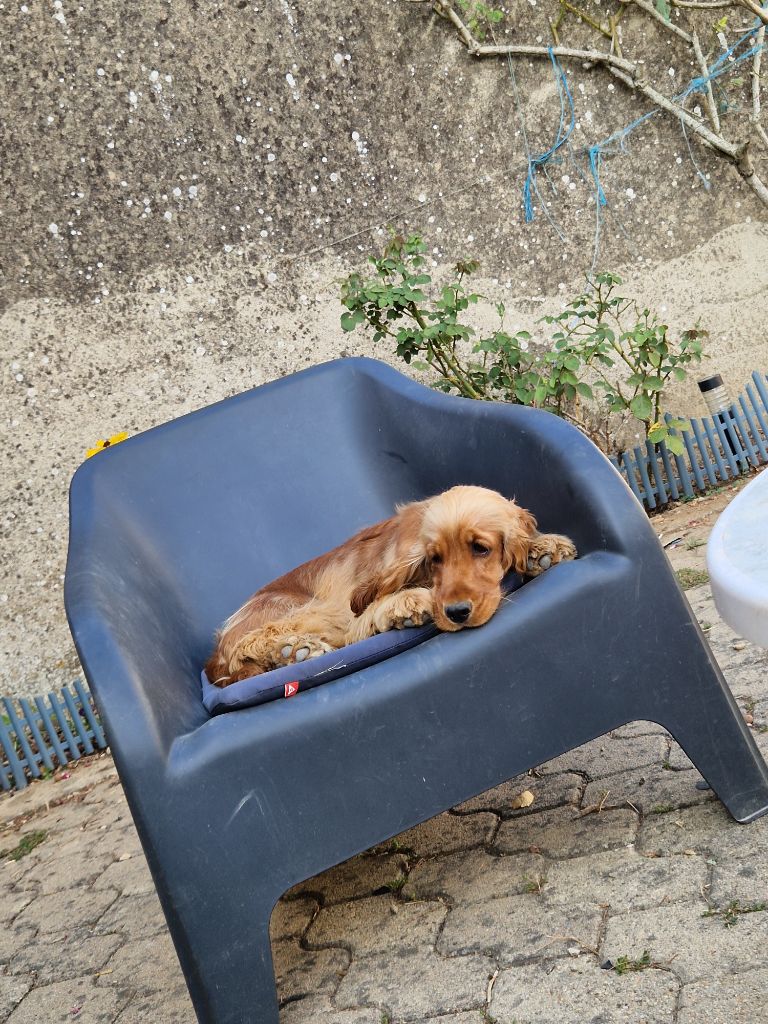 Vitamine des Terres aux étangs